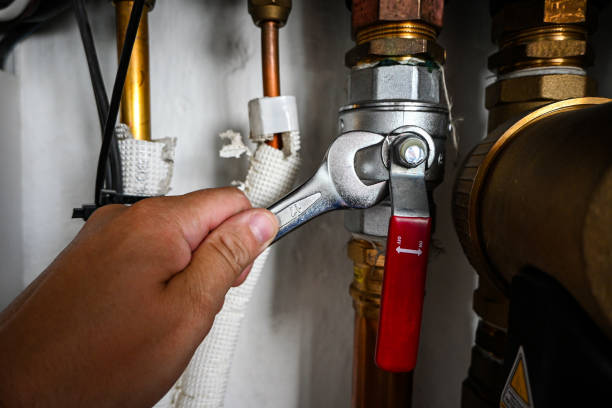 Best Leak Detection Services  in Ford Heights, IL